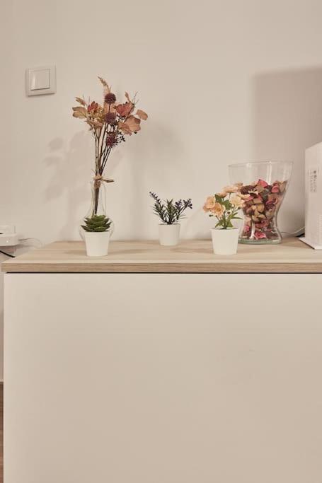 Apartament El Paraiso De La Vina Ha Cadis